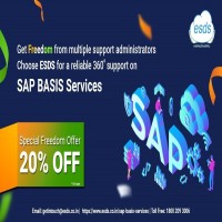 ESDS delivers Reliable SAP BASIS Support Get minimum 20 OFF on your 